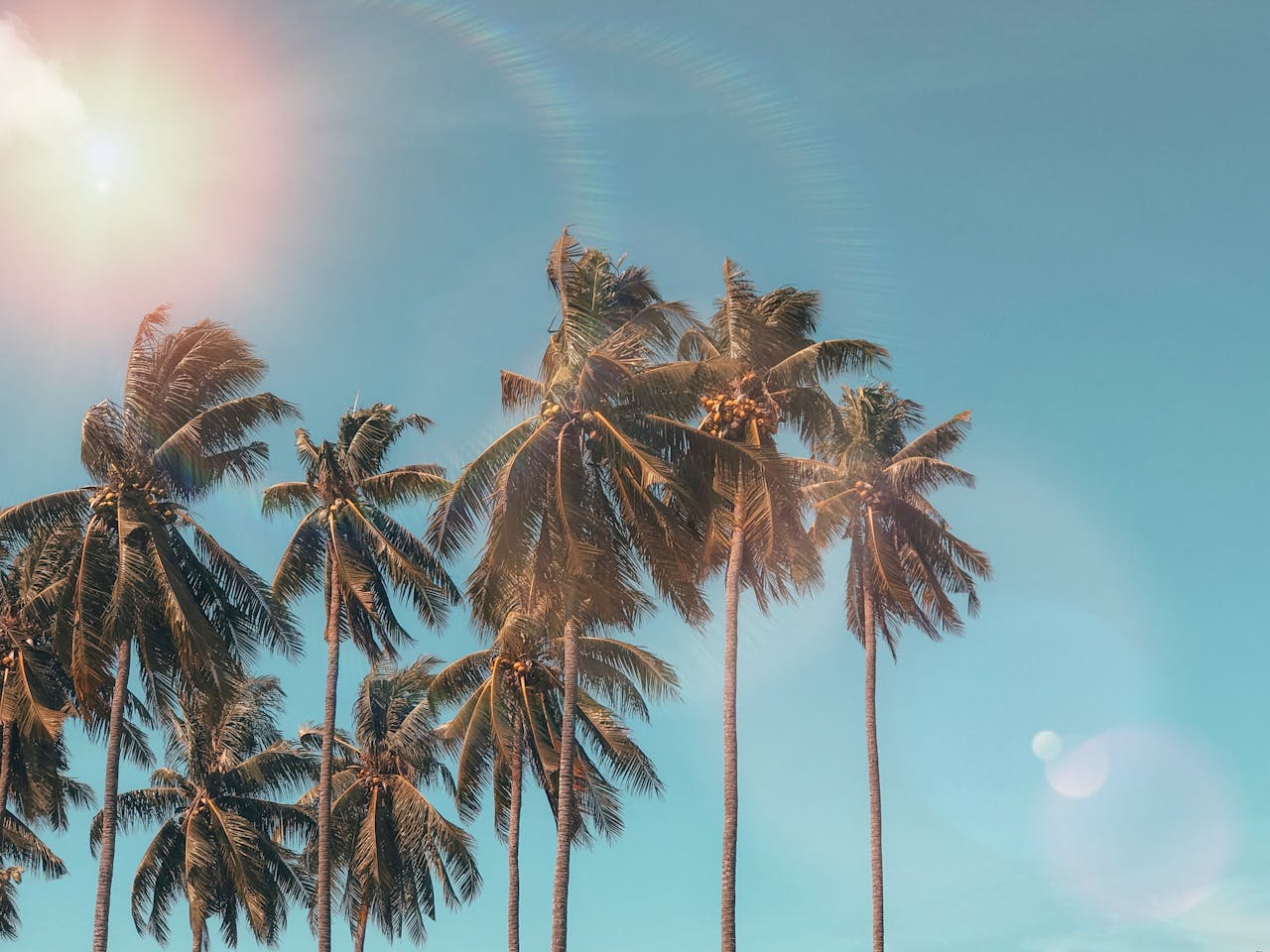 Summer Travel Made Easy: Your Guide to Hassle-Free Adventures